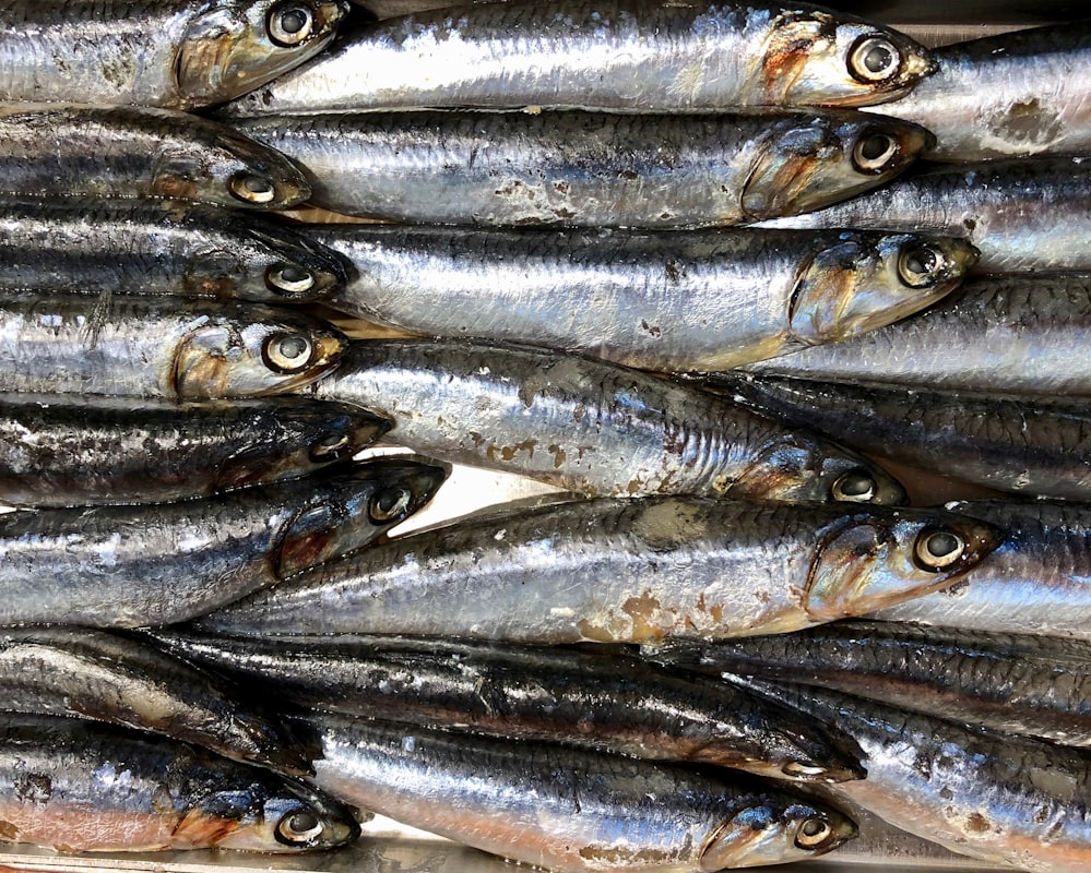 Fischöl und gesunde Omega-3-Lebensmittel